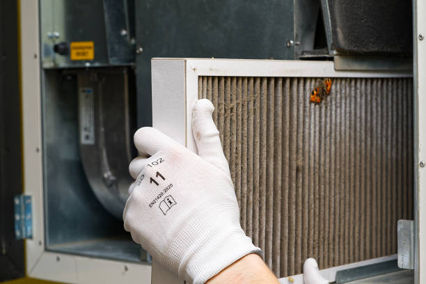 Best Air Duct Cleaning Company Near Me  in Ainaloa, HI